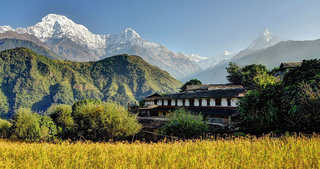 टुक्रिएको पुस्ताः छोराछोरी अमेरिका, आमाबुबा शिविरमै
